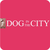 Dog In The City icon