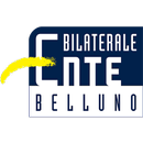 Ente Bilaterale Belluno APK