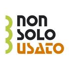 NonSoloUsato-Terni icône