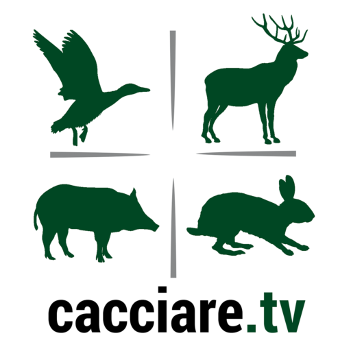 CacciareTV