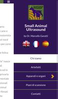 Small Animal Ultrasound Free Poster