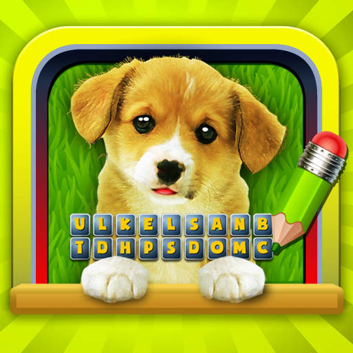 Guess the Dog - DogdomDogs
