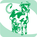 La Perfetta APK