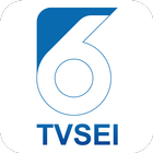 TVSEI Zeichen