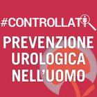 Controllati ikon