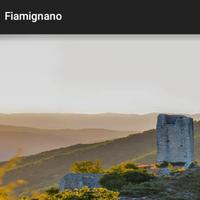 Pro Loco Fiamignano capture d'écran 1