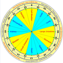 Acupuncture Qi Flow Cycle Lite APK