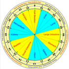 Acupuncture Qi Flow Cycle Lite أيقونة