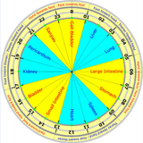 Acupuncture Qi Flow Cycle Lite أيقونة