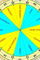 Acupuncture Qi Flow Cycle Lite الملصق