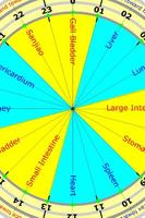 Acupuncture Qi Flow Cycle Lite Affiche