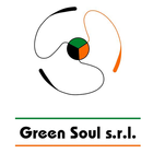 Green Soul Zeichen