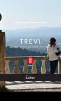 Trevi - Umbria Musei poster