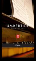 Umbertide - Umbria Museums الملصق