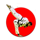 Judo Kata Score Lite