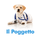Il Poggetto biểu tượng