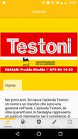 Testoni Affiche