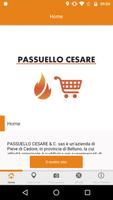 Passuello Cesare-poster