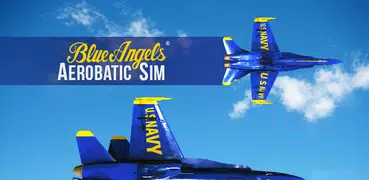 Blue Angels: Aerobatic Flight 