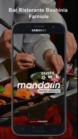 Mandarin Wok-poster