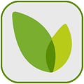 Farmacia Vivo