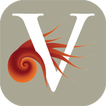 Vivo - Dal mare alla padella