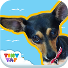 Zula the Dog - Virtual Pet icône