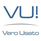 VeroUsato.it icon