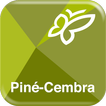 Piné Cembra Turist Guide