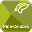”Piné Cembra Turist Guide