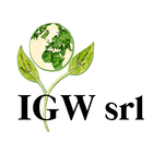 IGW simgesi