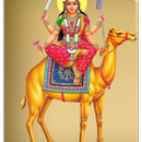 APK Dashama
