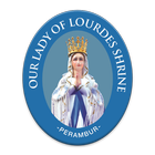 Lourdes Shrine : Perambur icono