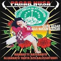 Poster PAGAR NUSA (PN)