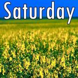 Saturday