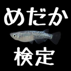 【2017年最新】めだか検定！メダカに関する知識クイズ集☆ 图标