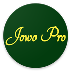 Jowo Properti ikona