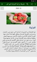 طرق زراعة الخضراوات والفواكه ảnh chụp màn hình 3