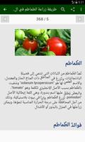 طرق زراعة الخضراوات والفواكه ảnh chụp màn hình 2