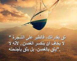 كلمات من الحياه الملصق