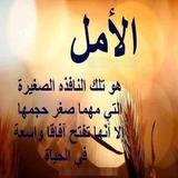 حكم جميله أيقونة