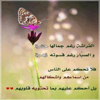 حكم جميله الملصق