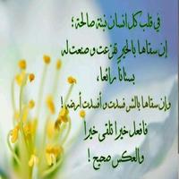 حكم جميله تصوير الشاشة 1