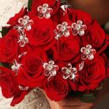 اجمل واروع تشكيله ورود