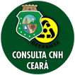 Consultar CNH via CPF - Ceará