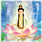 Guanyin Buddha live wallpaper Zeichen