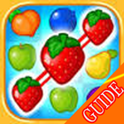 Guide Fruit Splash 图标