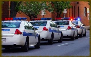 Police Cars wallpaper اسکرین شاٹ 2