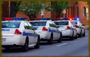 2 Schermata Police Cars wallpaper