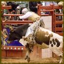 APK Rodeos wallpaper